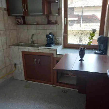 Homestay Casa Maria Curtea De Arges